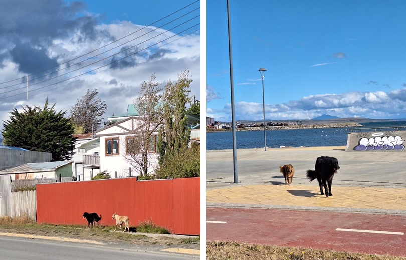 Puerto Natales