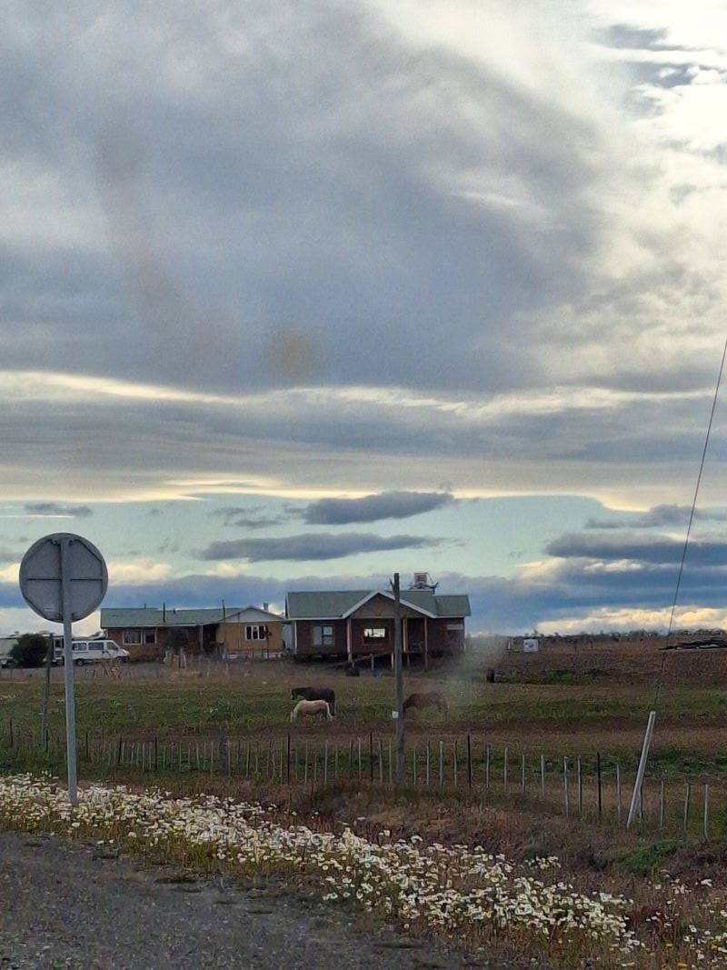 Transfer von Punta Arenas nach Puerto Natales